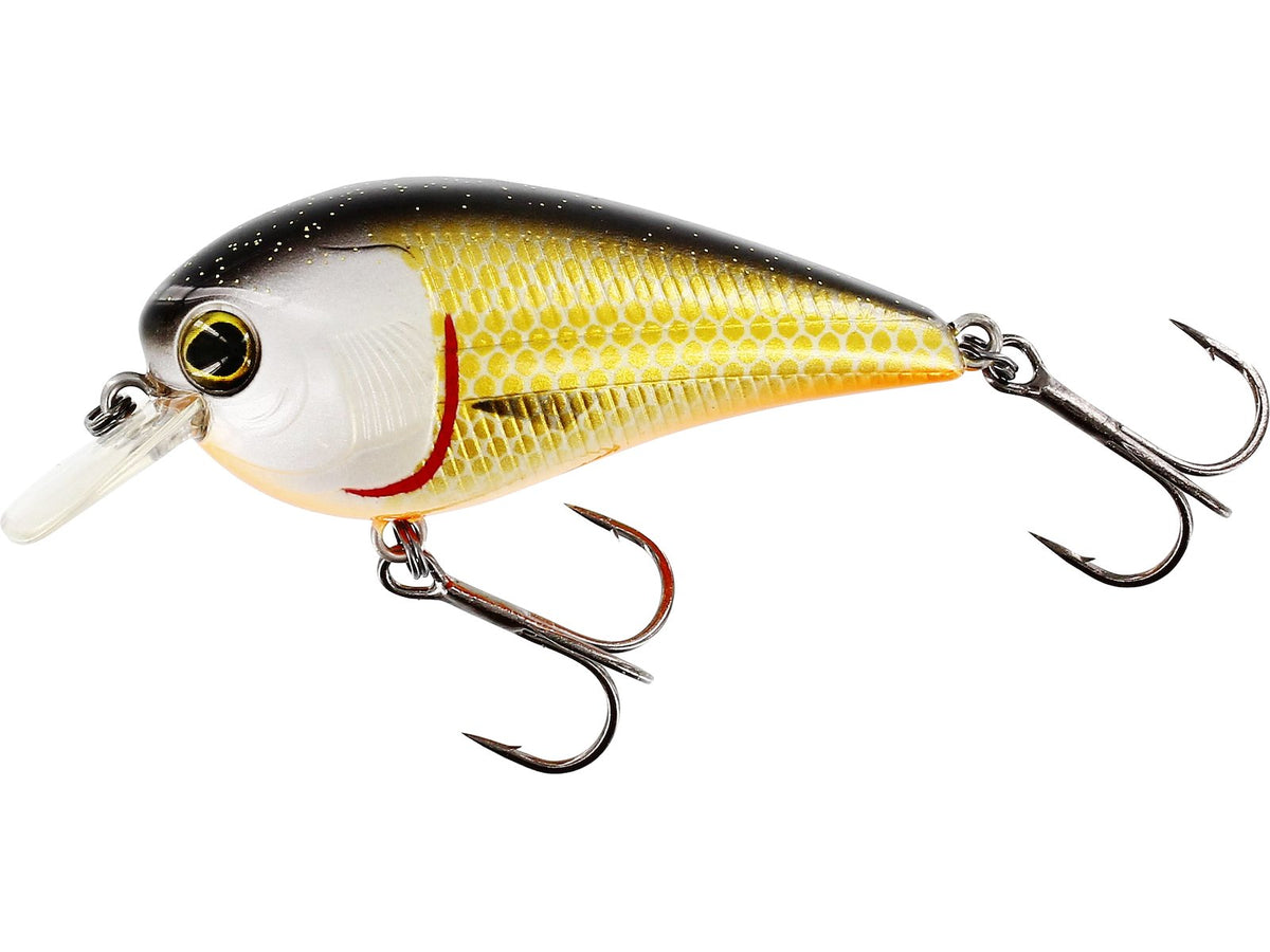 Westin BassBite 1,5 SQUAREBILL 6 cm 13 g peldošs vobleris Official Roach