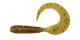TS101