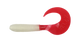 TS109