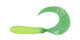 TS205
