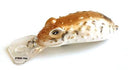 Strike Pro Warted Toad 55 5.5 cm 12.5 g F vobleris - #807