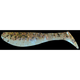 L011