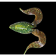 L053