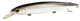 A010T