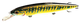 A164F