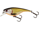 Westin BabyBite SR Crankbait 6,5 cm 12 g peldošs vobleris - Official Roach
