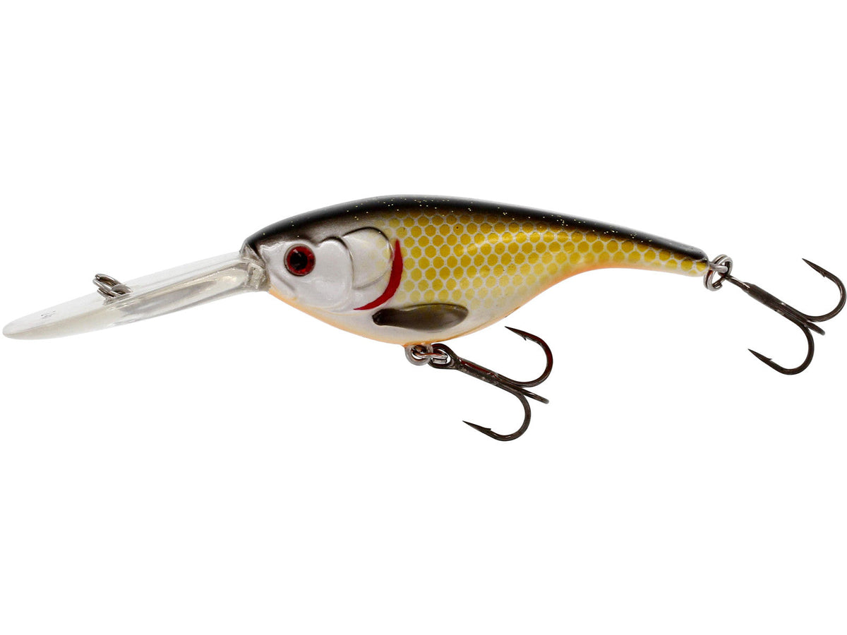 Westin BabyBite DR Crankbait 6,5 cm 13 g peldošs vobleris Official Roach