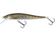 Brown Trout Fry
