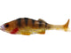 Gold Perch