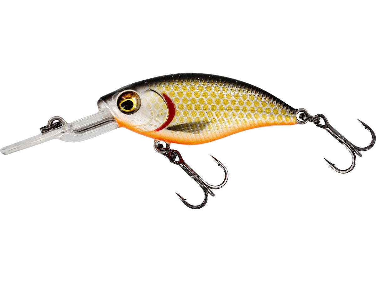 Westin BuzzBite Crankbait 6 cm 10 g suspendējošs vobleris Official Roach