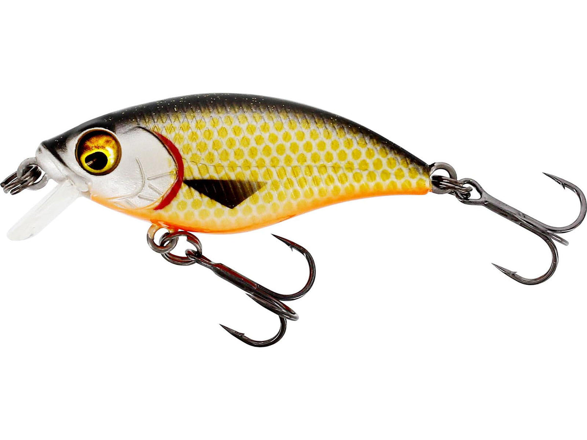 Westin BuzzBite SR Crankbait 4 cm 4 g lēni peldošs vobleris Official Roach