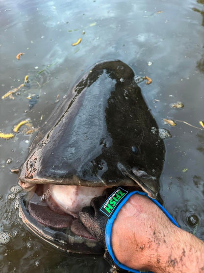 ZFISH Catfish Glove – Aizsargcimds samu makšķerēšanai