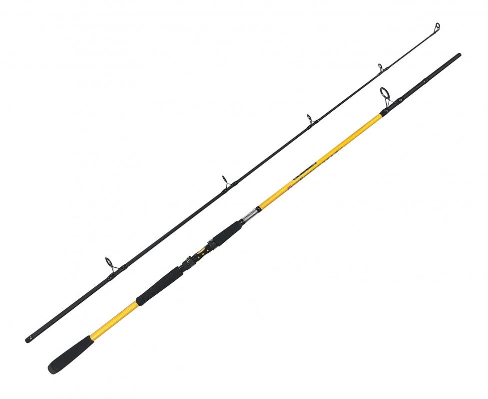 ZFISH Kodiak 2,40 m / 100–250 g samu makšķerkāts